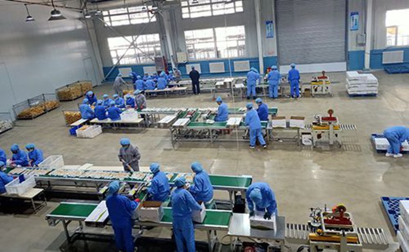 福建商贸公司引领商业之流